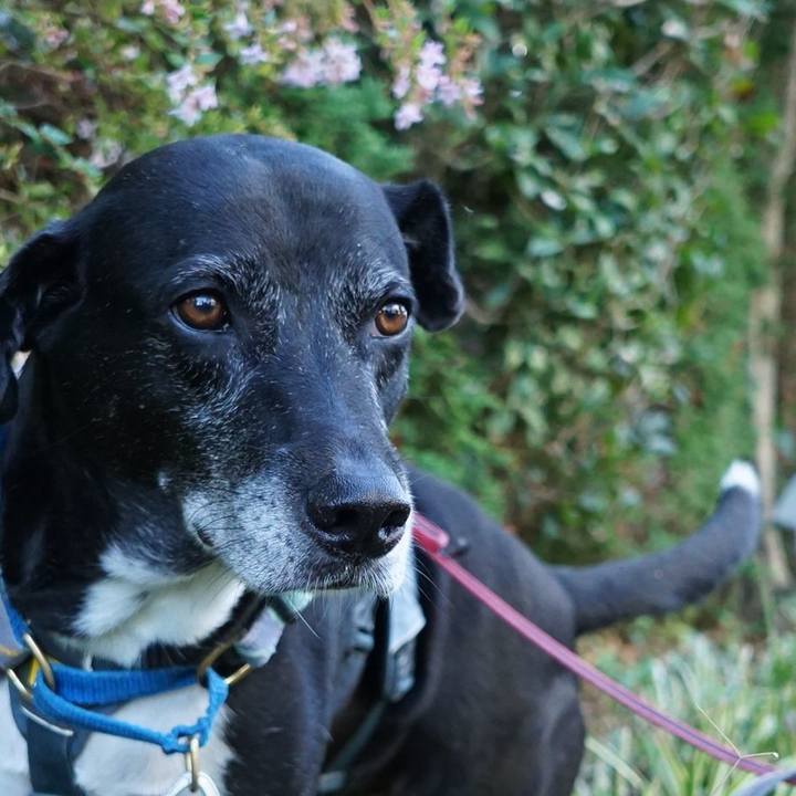 B2a7780a 83b0 4889 879a 544bea8f4456 1758412680938