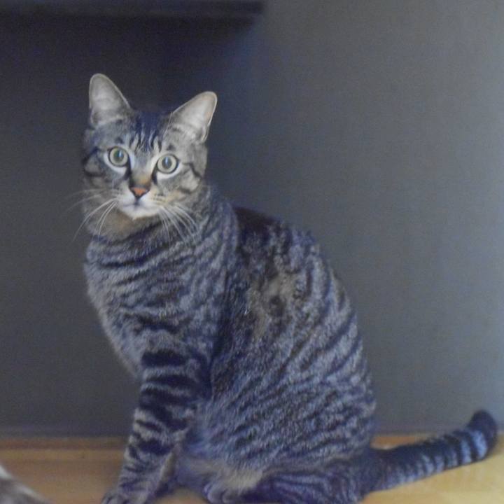 B2a7818d ecc3 4cde b36a 672f46058180 1522151670759