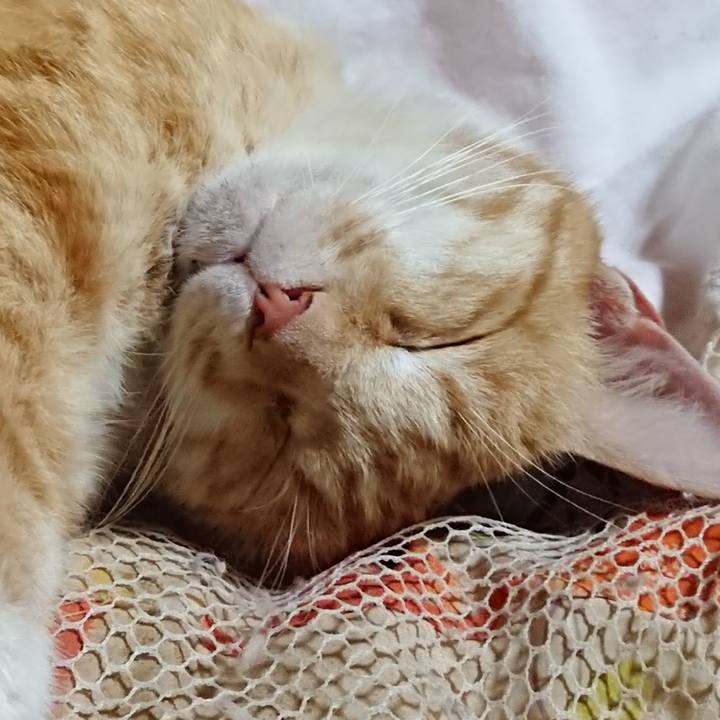 B2a78ba1 6cb2 4be3 933b 81da3588fb77 1591103042994