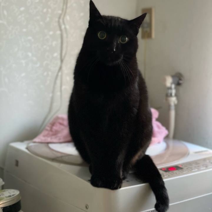 B2a7b63a b866 4754 984d 86fda33dc342 1642126343861