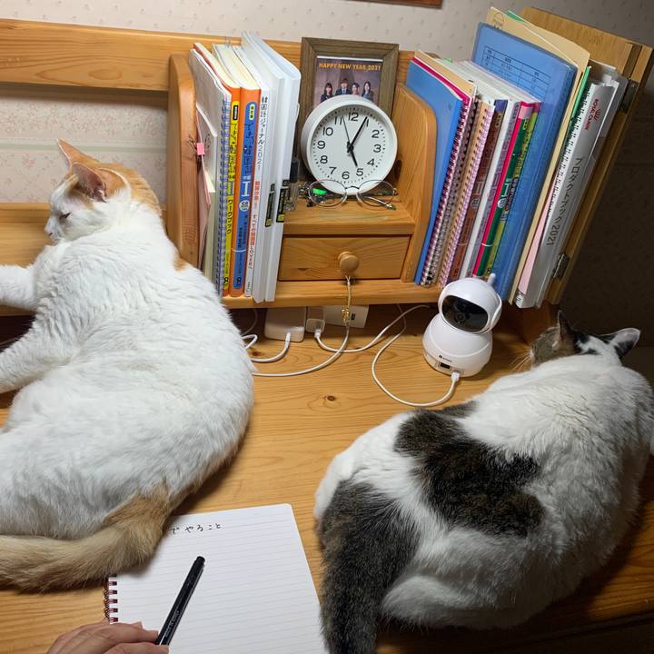 B2a7c2f0 8594 46c9 863f 4c0864f59e64 1658433998061