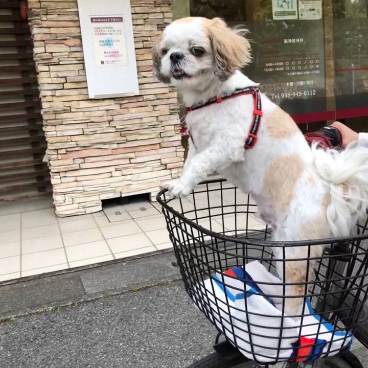 B2a80177 30a9 4c1b bfd6 65e08962a77d 1558561272225