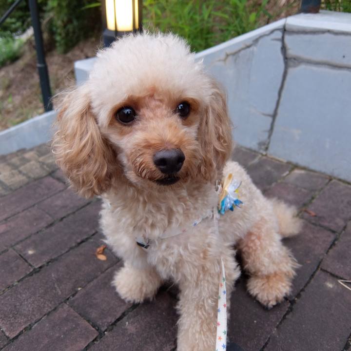 B2a806a0 b518 4096 abac 74d36a49f437 1538739648172