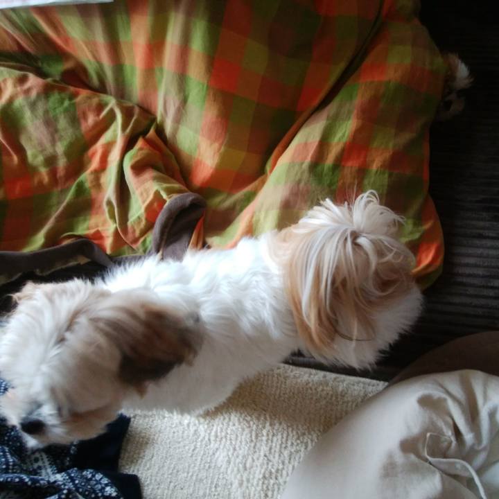 B2a80dba 466c 4cb8 98dd 8b9ef0c80bee 1544314536437