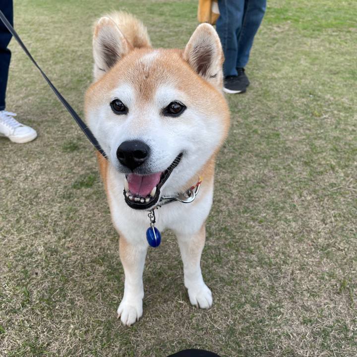 B2a827a2 2e55 4349 b71c fb3be9d7a7a0 1680434749808