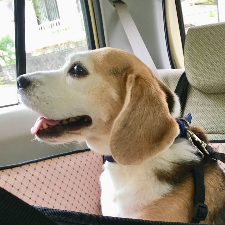 B2a86d32 5814 41cf b6ac bc6c3ae6d759 1537841173976