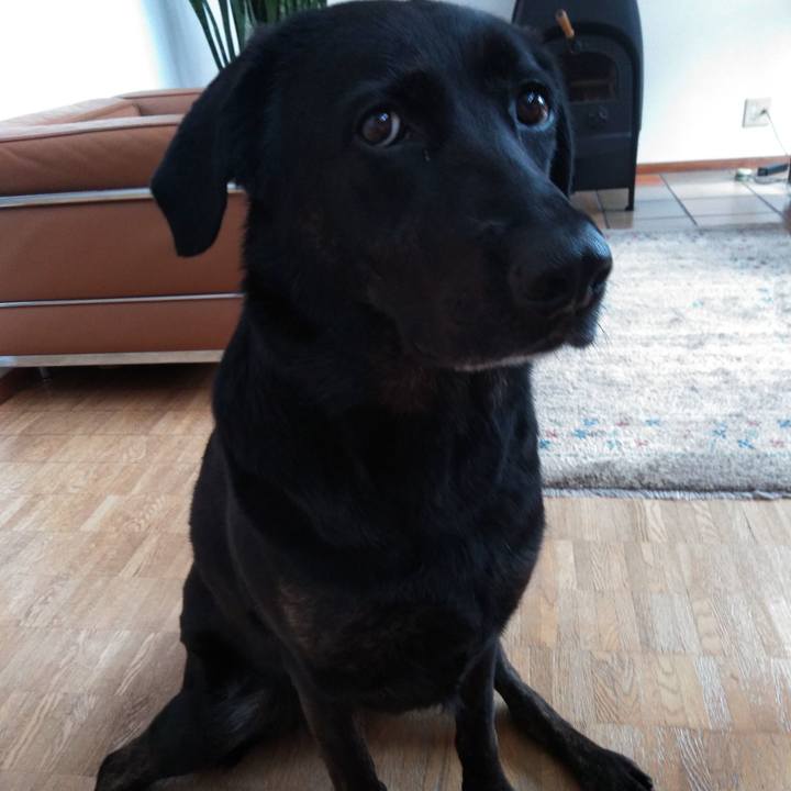 B2a86ec9 5a24 481b ac9a 8ef7b9d21b9b 1594691126592