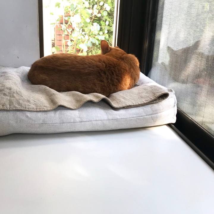 B2a891e0 3497 4e11 94c9 3cf3e8c2445f 1509682855577