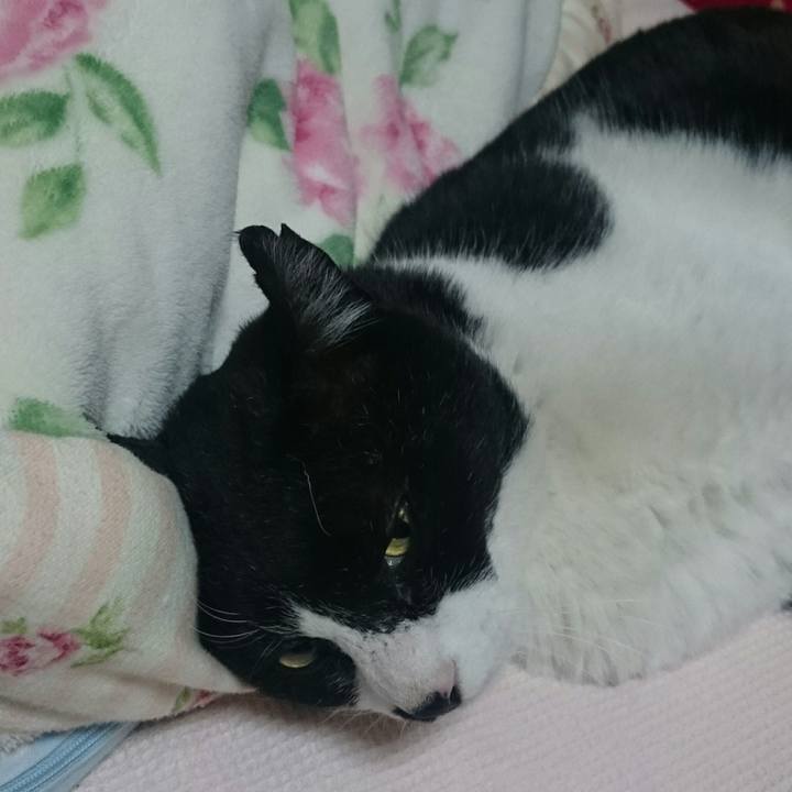 B2a89282 5a69 4118 8137 27e8fb9d2638 1520378220920