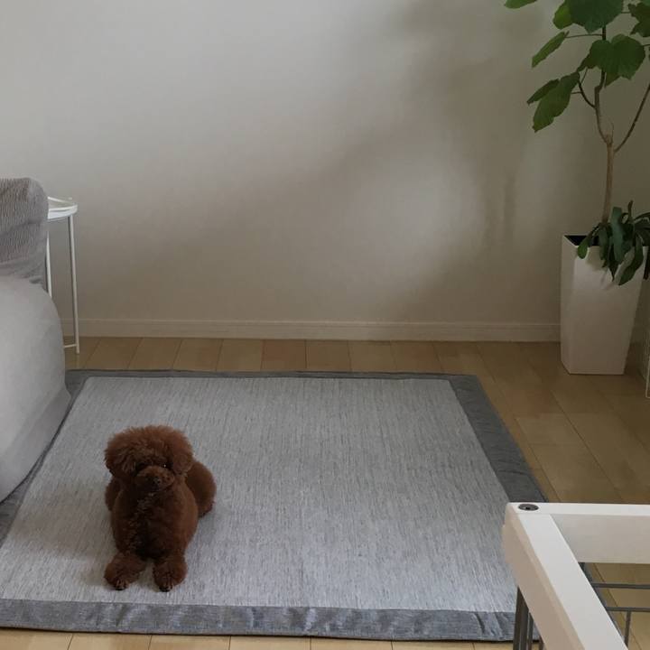 B2a8a594 49e4 4ff4 bcdf faad0ea00b63 1530830235154