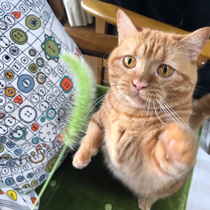 B2a8c606 22f1 456c aa0e ad7da986a3f8 1538006708353