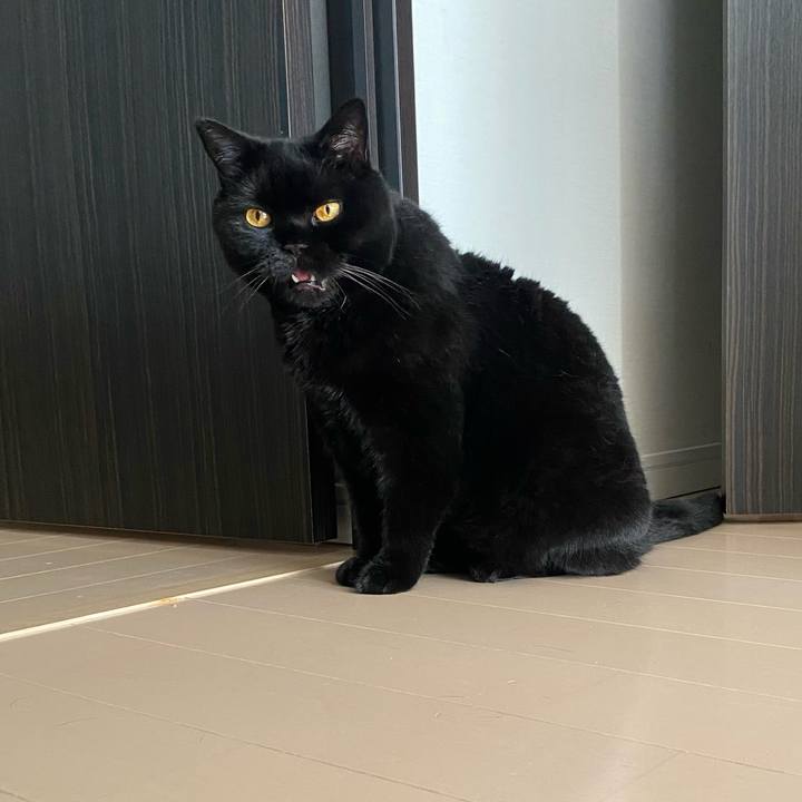 B2a8ce1a 47a7 47ed 9267 81556e318fb4 1756029934015