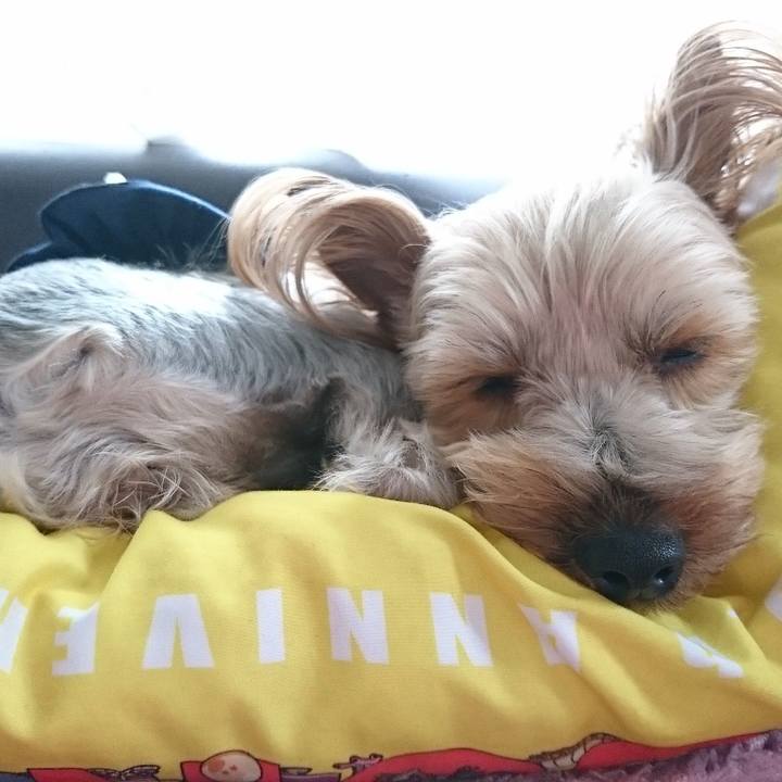 B2a8d0a0 766a 4e3b a9fa d1b055d6b0c3 1526456893019