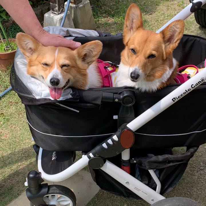 B2a8f177 e95d 40ec 921b 8af998df40ad 1619315263910