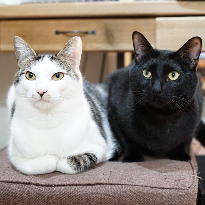 B2a949bd 493c 4fc2 aaca 4d7a33e6f62c 1520466811155