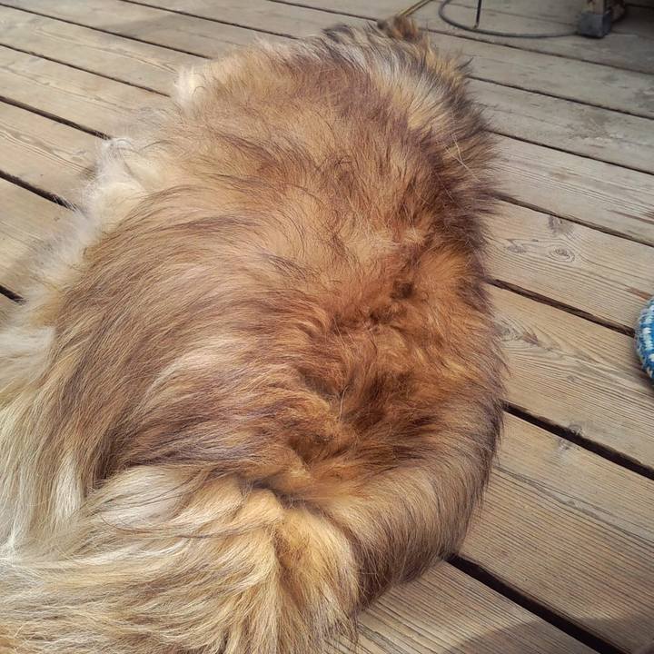 B2a95d2d a113 4561 8d29 da80347f1ab7 1557714163346