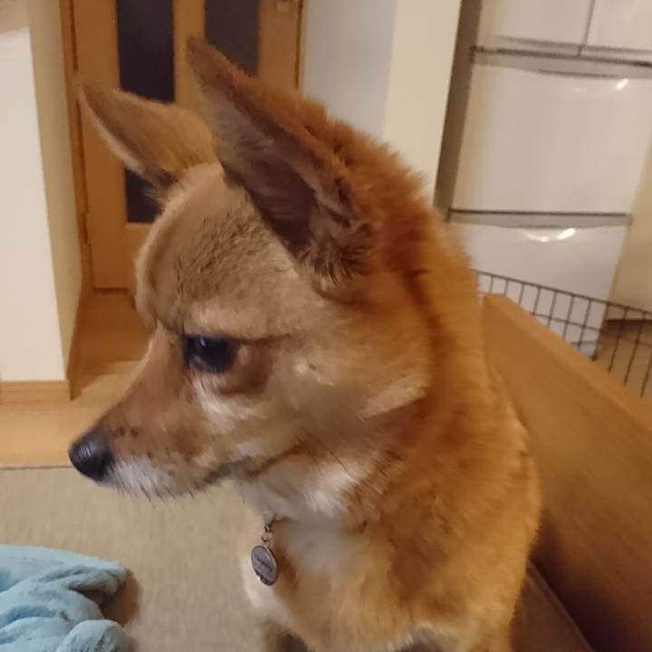 B2a97d55 d91c 4473 b639 bc155358ee50 1547944603426