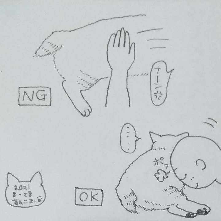 B2a98edc 7459 45ea b382 f0081f7b8e5c 1630162069425