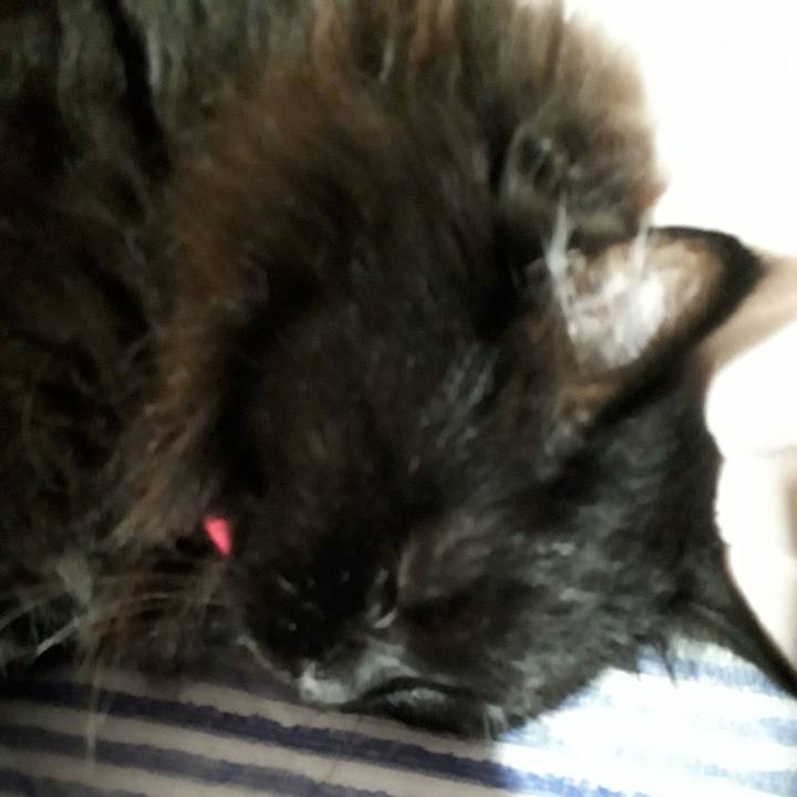 B2a9a1fe a95d 4356 a6c6 6c76093f9910 1533280914948