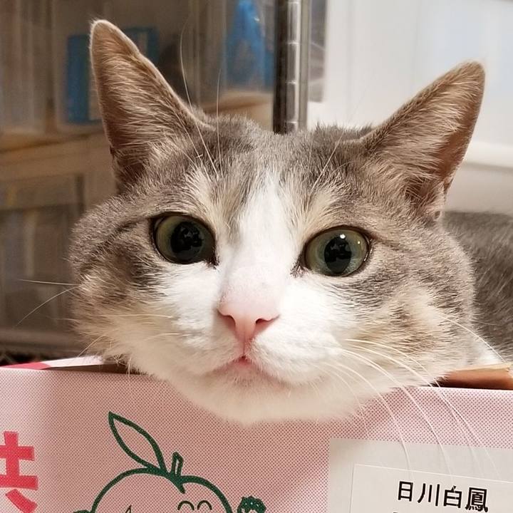 B2a9b19c ca43 4cc3 929c 98ce7e1cf3b4 1544361604084