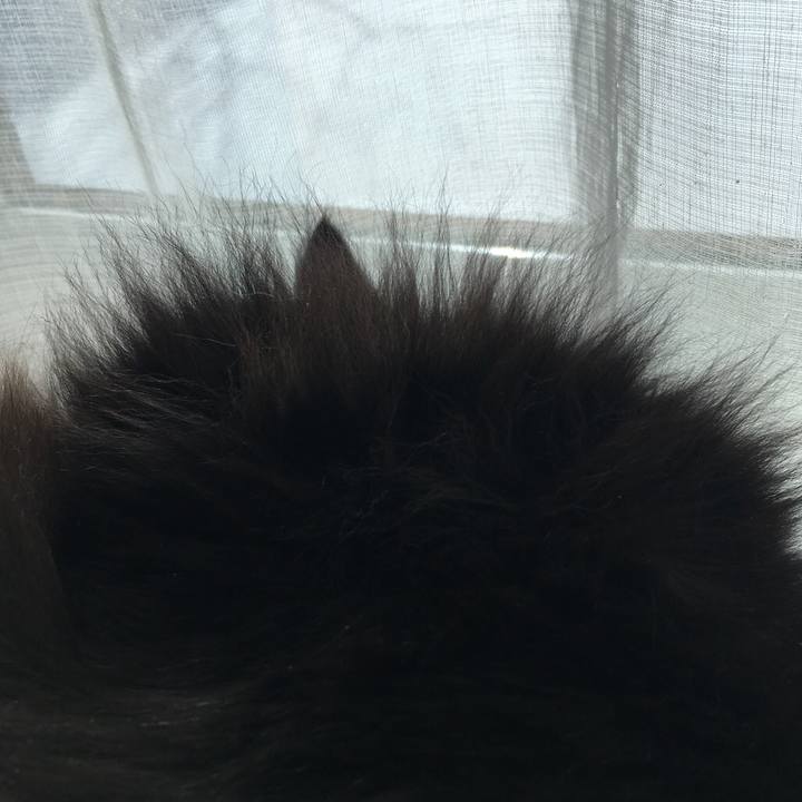 B2a9c27a fb4d 4ce5 a684 932ed4216bbd 1548056024944