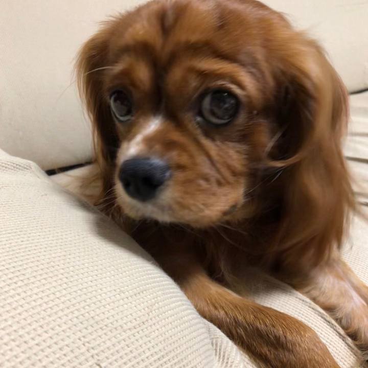 B2a9c575 b9d2 43ee bb67 2d3694c60acb 1568032446951