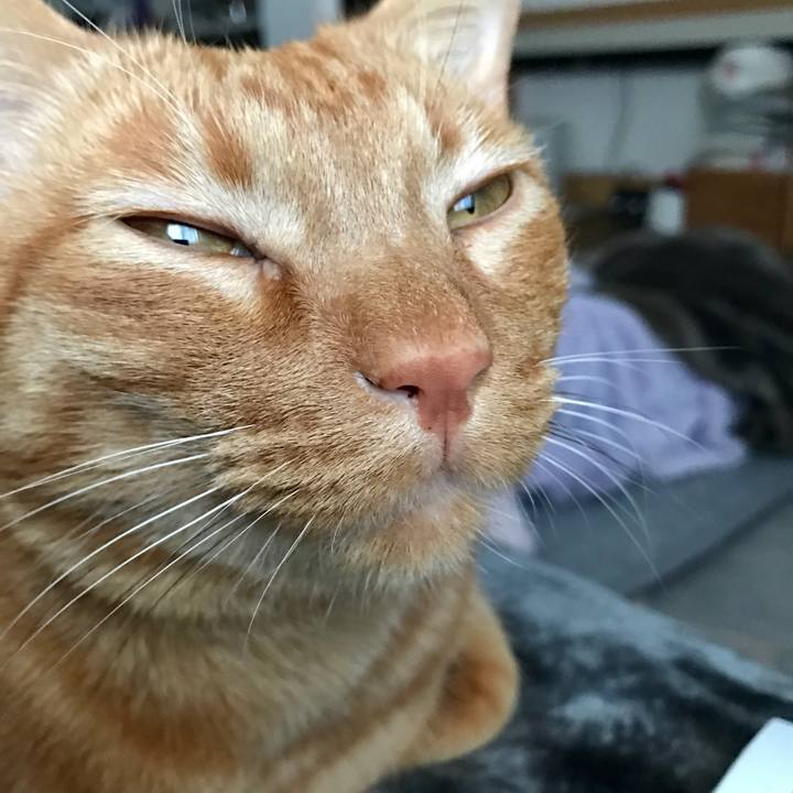 B2a9c636 458e 41da 9f5a aec79b747e89 1612050097649