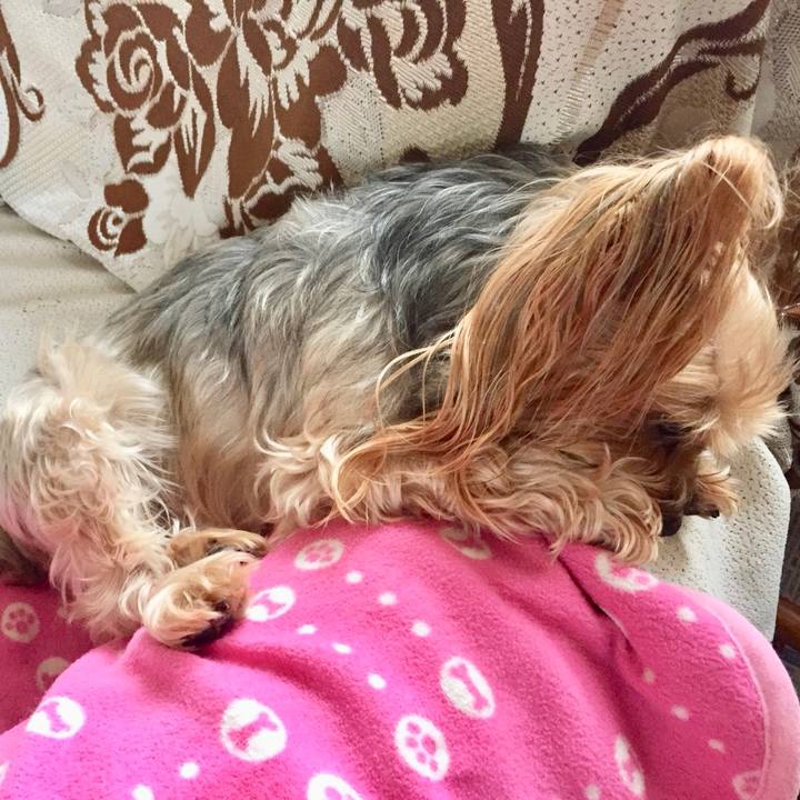 B2a9cc17 e92c 44cc 99eb df3eb3dae7d1 1541920886125