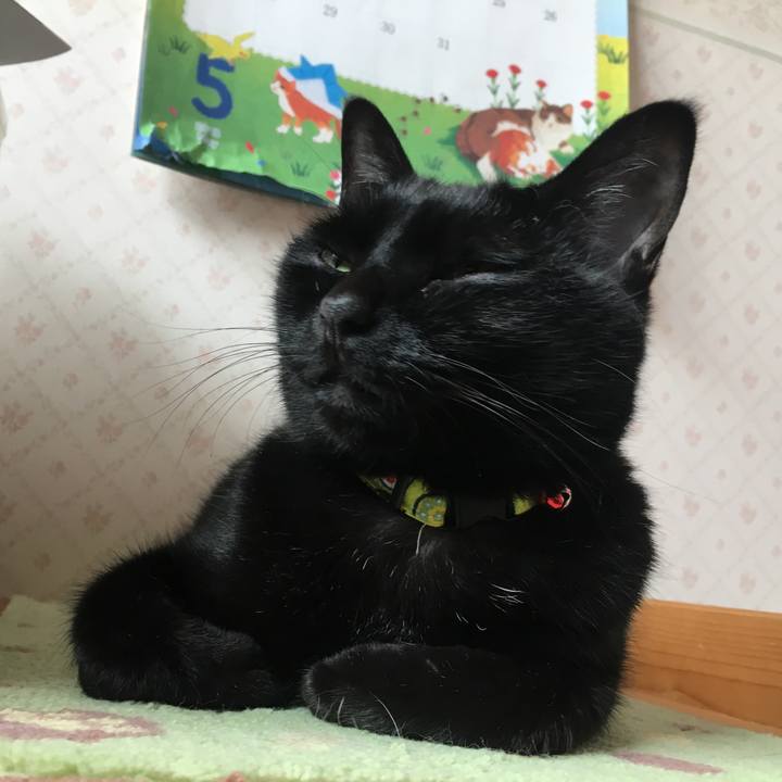 B2aa9eb7 0a8c 4788 a05a f8e67a184e33 1526108591568