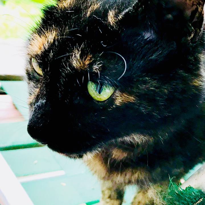 B2aaa377 cae1 4d7c b07f 2791f4331065 1529737073928