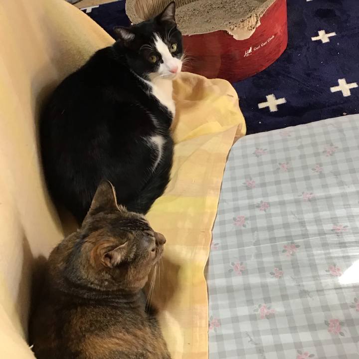 B2aab9fc 5fe5 4485 a637 fc7b3db56202 1707289160077