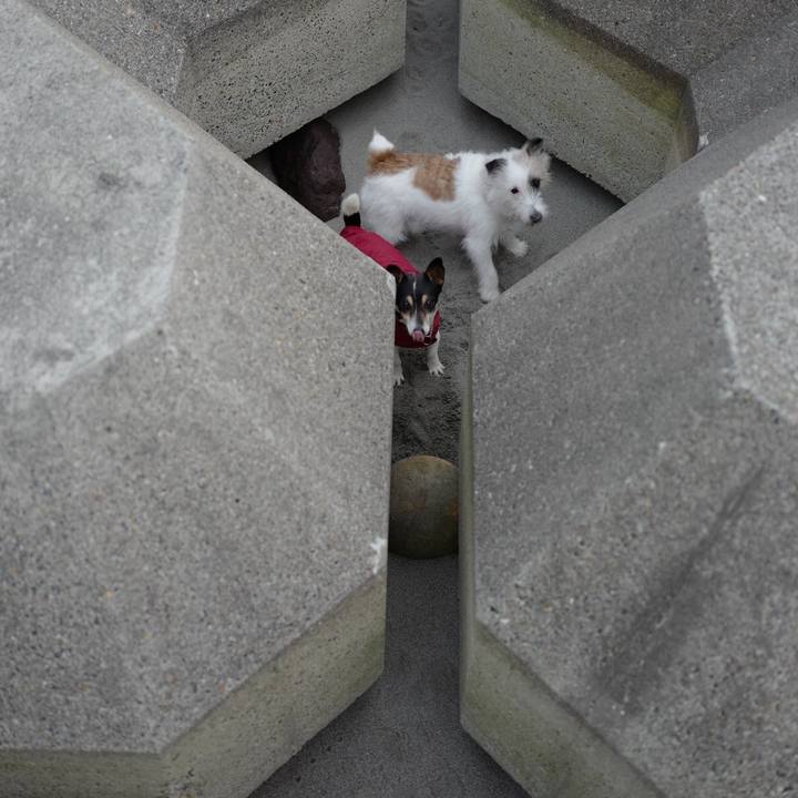 B2aac3c3 5031 4e0e 83d8 2d42a789b8a3 1551325312694