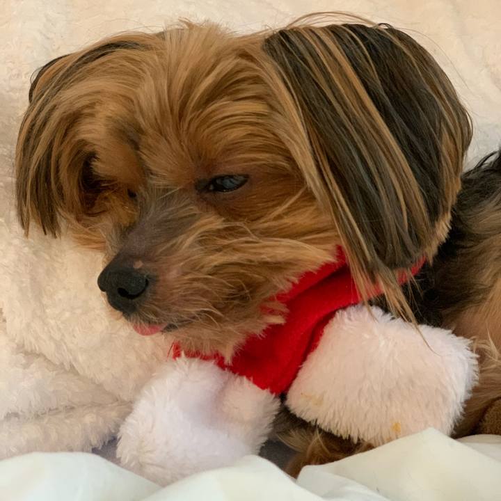 B2aacd1b bc3d 4238 be04 9a7ea7751d23 1576885294278