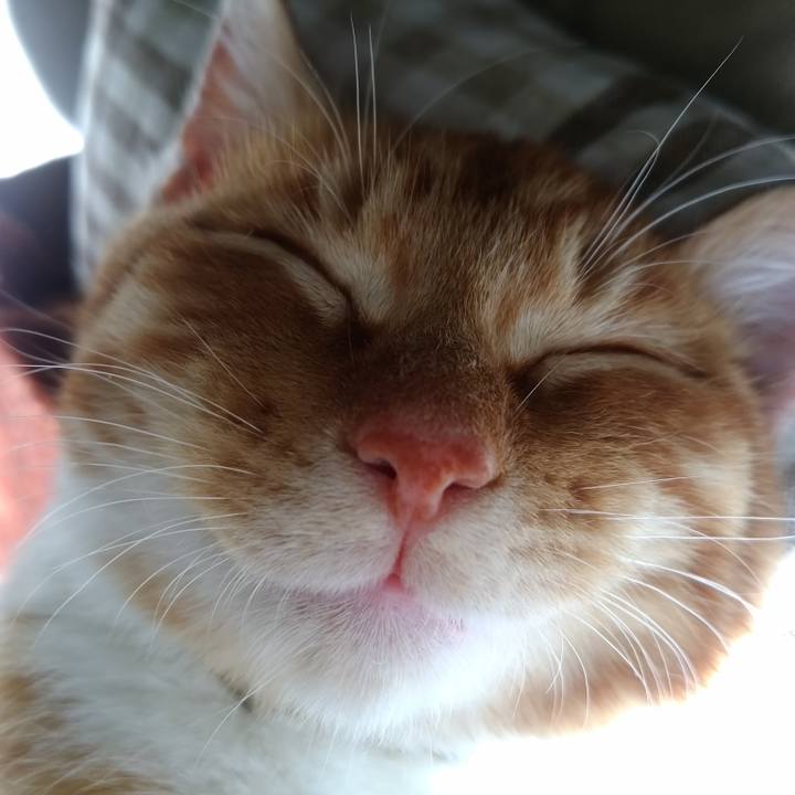 B2aaf6b0 8a1f 419b 8435 be419487496b 1668831207816