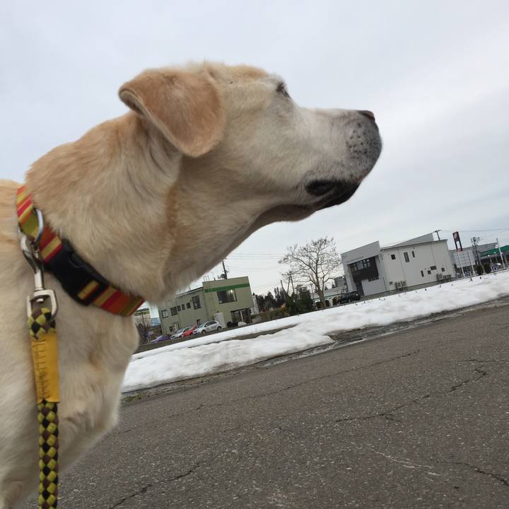 B2aafbd3 872b 4966 b233 37fec4b7da04 1521362499187