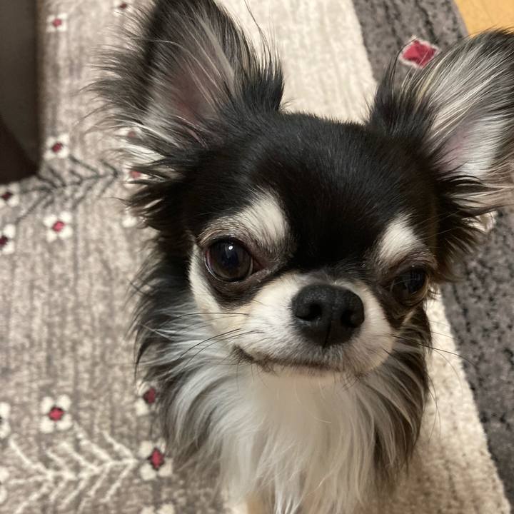 B2aafdd0 4319 4baf b18e 2f82817ad073 1618060511001