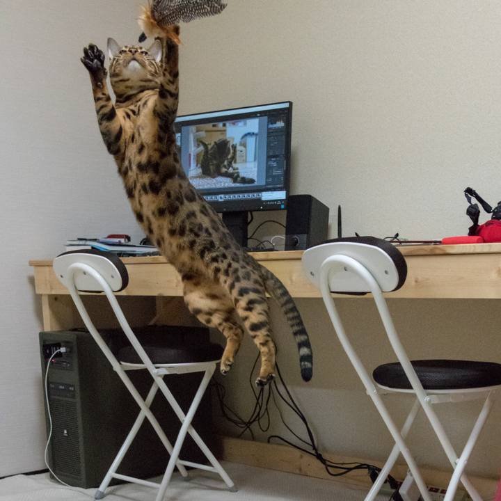 B2aafee9 ff5b 4556 82b4 dad04e89921a 1518713488433