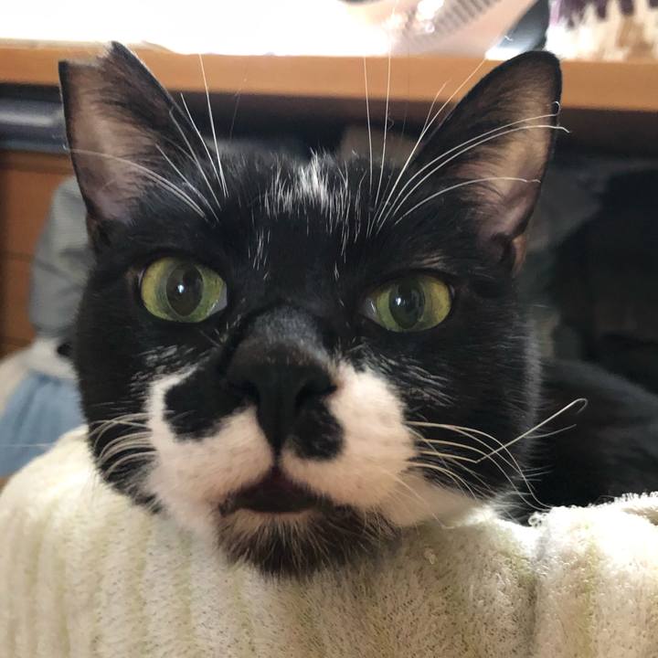 B2ab0799 f01a 4ba6 8904 00ae1585dc80 1573874669782