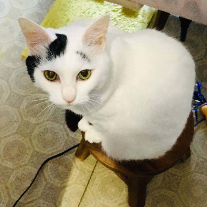 B2ab11c8 9e72 4825 8a54 244a770e5d66 1561691365834