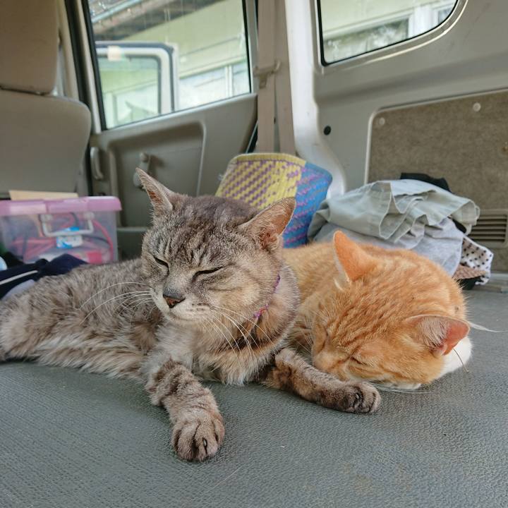 B2ab1992 21ce 4b81 af0d 242a99745e32 1593325128122