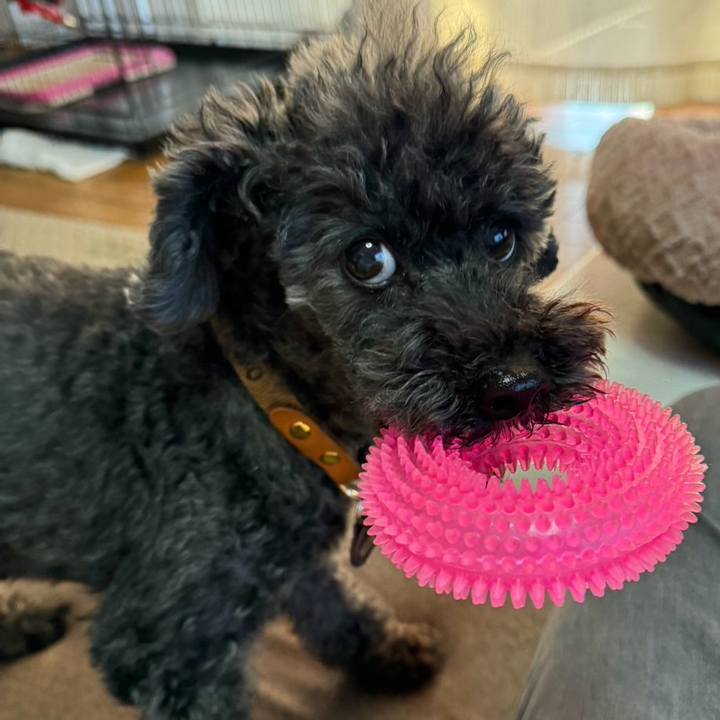 B2ab26cc c32e 4d35 a3a3 e4c94f6463f8 1768197616402