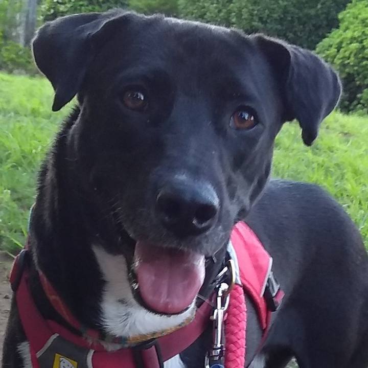 B2ab3220 2cc4 47cf 94f8 e762245f967f 1590747006508