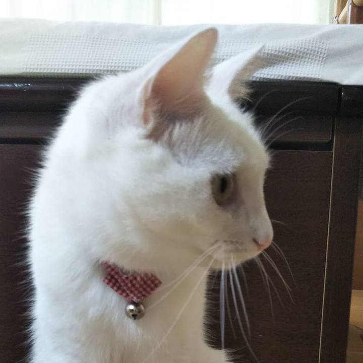 B2ab7155 da0f 4f77 bc20 2ef7ef146a9b 1626752151618