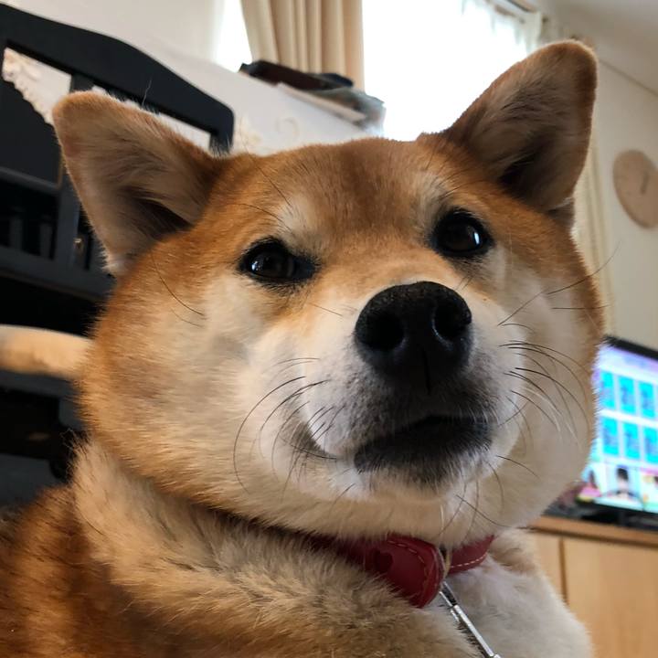 B2ab7697 d1f8 4578 ad2a a8fc05426154 1588132990265