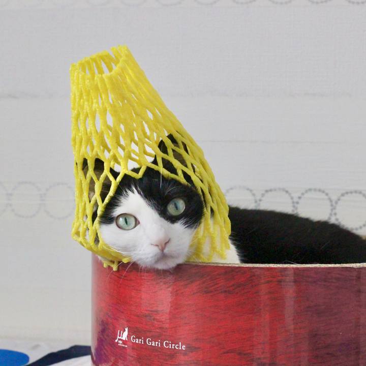 B2ab8142 3b53 4547 bcec 8d3884519163 1622461590201