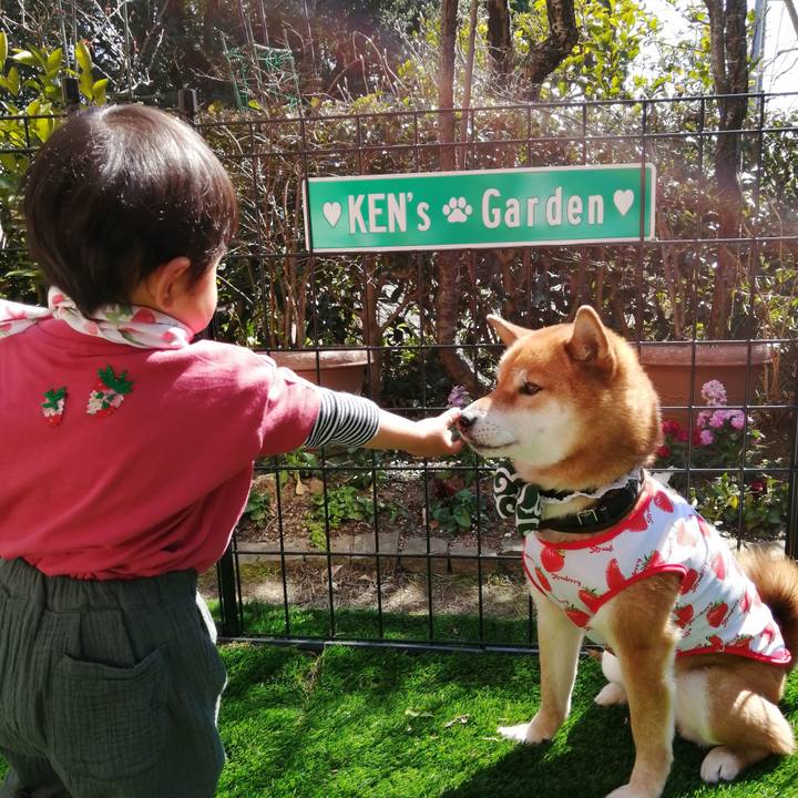 B2ab8a3a 726c 462a 803a 3f0b5f6dcef2 1584533493654