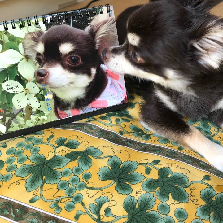 B2abc2c3 fbd9 447c 9ec0 cb0e1acd6665 1596341604648