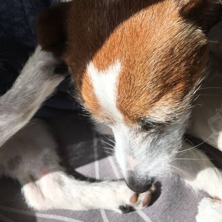 B2abd304 626d 439a b00d 7ebd66bcba5f 1552880053048