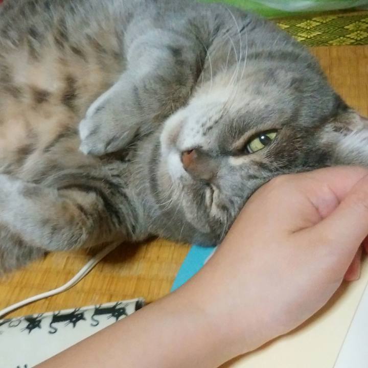 B2abf8d9 e8e0 4de4 9504 082afb49b4d3 1539088899837