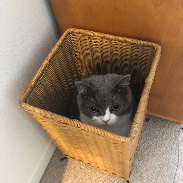 B2ac0454 6610 4cde b833 0007fb228e8d 1539313103611